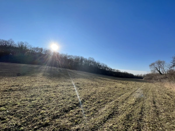 Eladó Telek Kistótfalu 200000 m2 