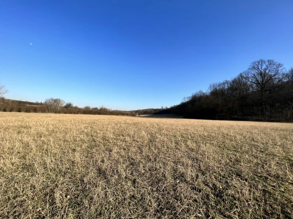 Eladó Telek Kistótfalu 200000 m2 