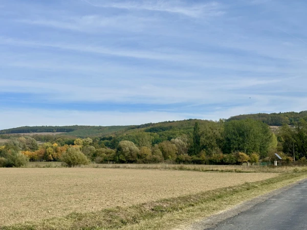 Eladó Ház Gyűrűs 85 m2 