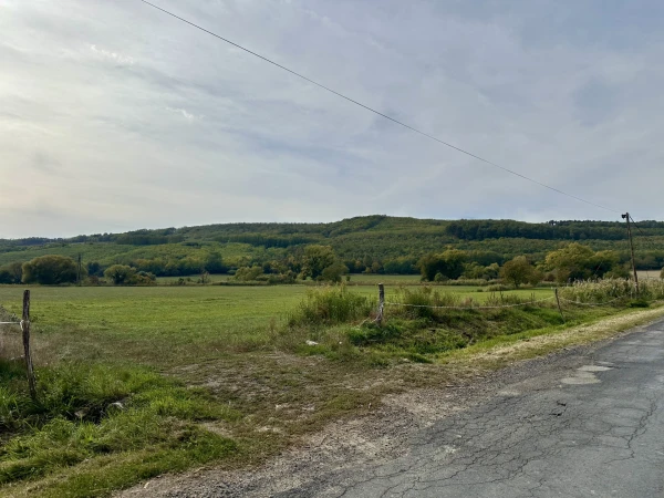 Eladó Ház Gyűrűs 85 m2 