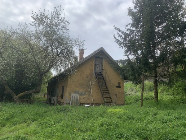 Eladó Telek Szőkéd 104317 m2 