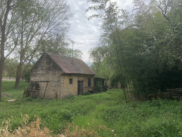 Eladó Telek Szőkéd 104317 m2 