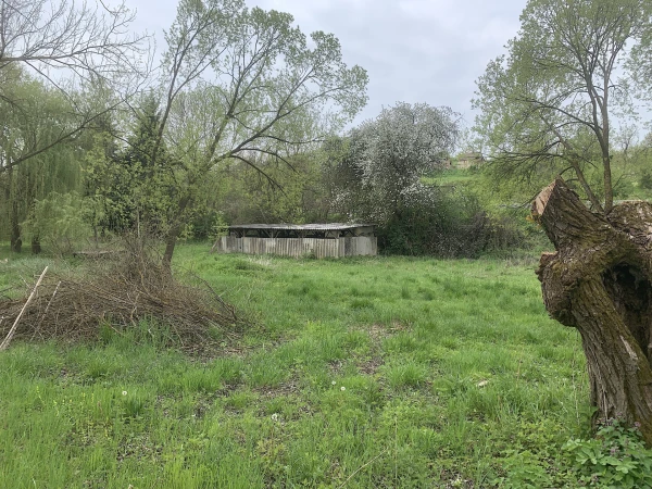 Eladó Telek Szőkéd 104317 m2 