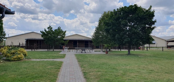 Eladó Telek Győr 101479 m2 
