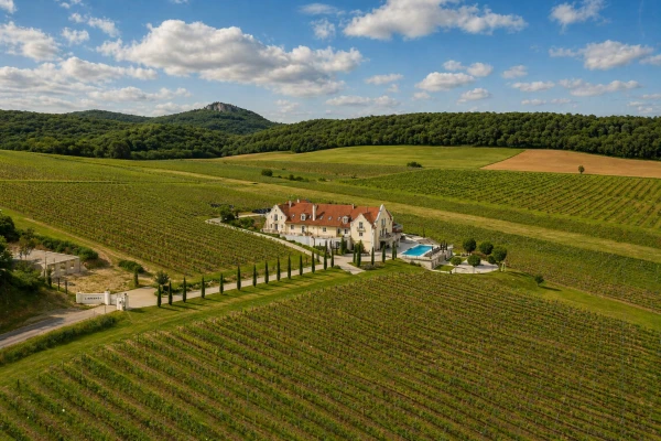 Eladó Telek Monoszló 100000 m2 