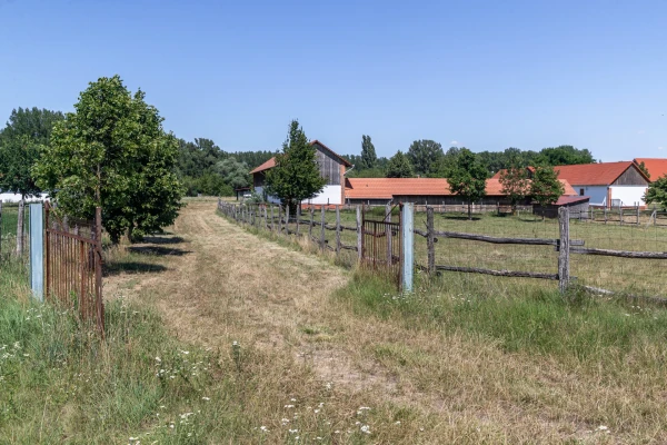 Eladó Telek Jászberény 104743 m2 