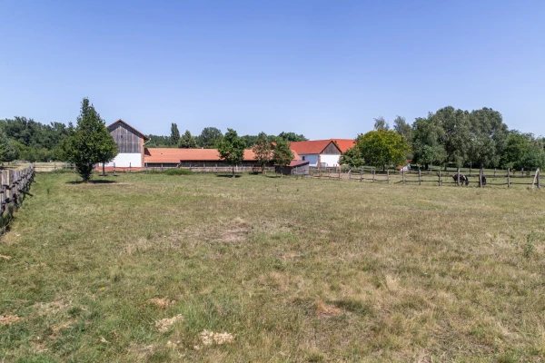 Eladó Telek Jászberény 104743 m2 