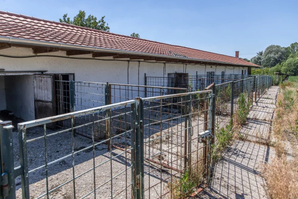 Eladó Telek Jászberény 104743 m2 