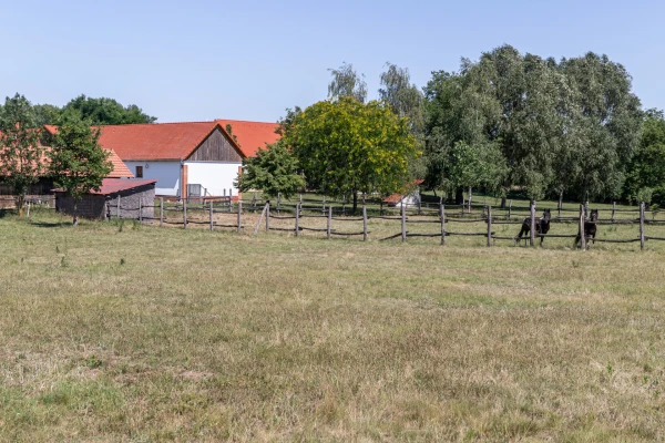 Eladó Telek Jászberény 104743 m2 