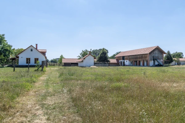 Eladó Telek Jászberény 104743 m2 