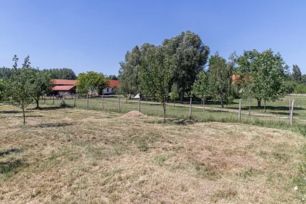 Eladó Telek Jászberény 104743 m2 