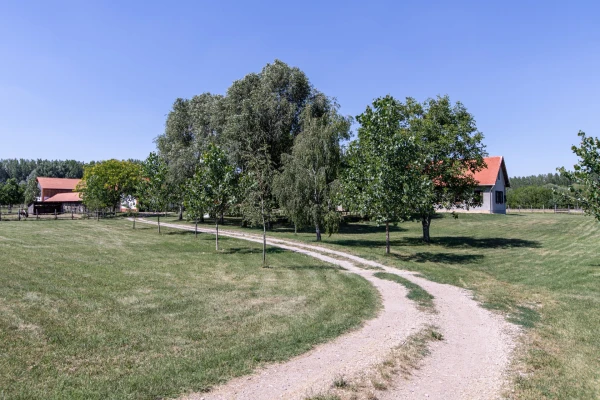 Eladó Telek Jászberény 104743 m2 