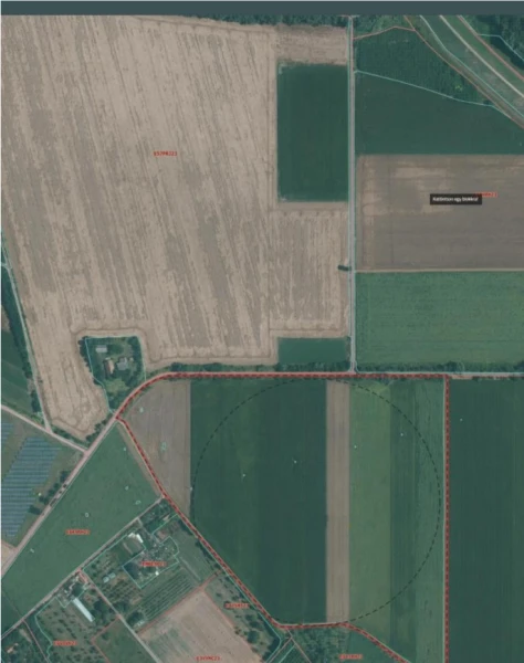 Eladó Telek Békés 11431 m2 