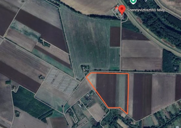 Eladó Telek Békés 11431 m2 