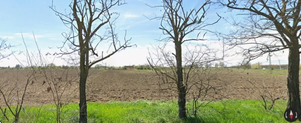Eladó Telek Békés 11431 m2 