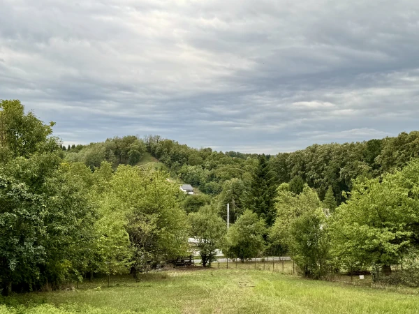 Eladó Ház Zalaegerszeg 65 m2 