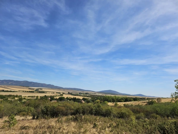 Eladó Telek Ecseg 11538 m2 