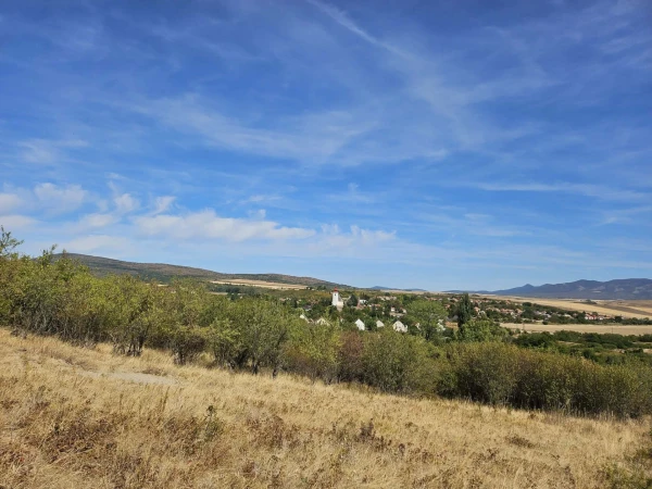 Eladó Telek Ecseg 11538 m2 
