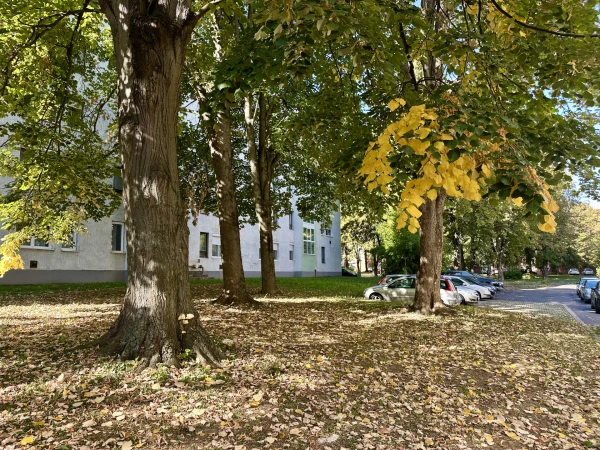 Eladó Lakás Zalaegerszeg 54 m2 