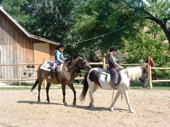Eladó Telek Tatabánya 10000 m2 