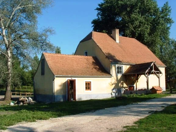 Eladó Telek Tatabánya 10000 m2 