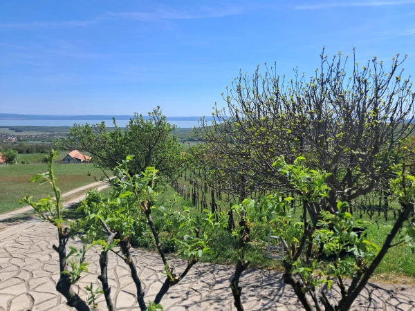 Eladó Ház Mencshely 80 m2 