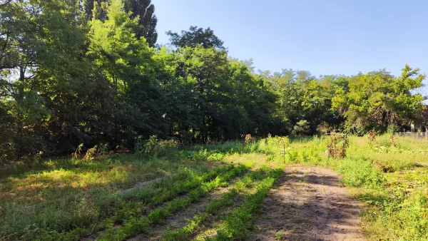 Eladó Telek Kecskemét 16851 m2 