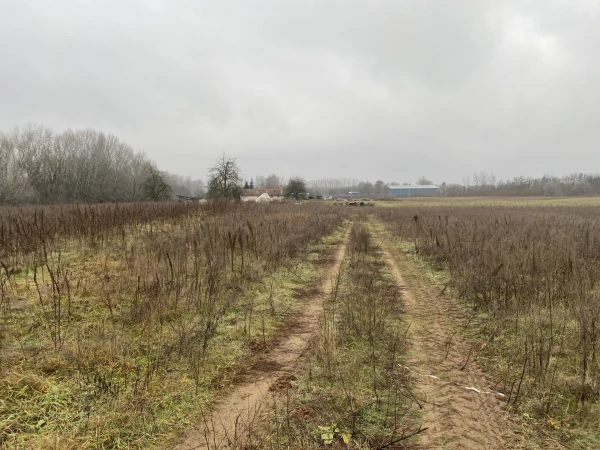 Eladó Telek Debrecen 27254 m2 