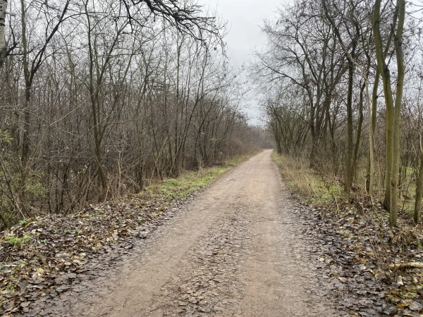 Eladó Telek Debrecen 27254 m2 