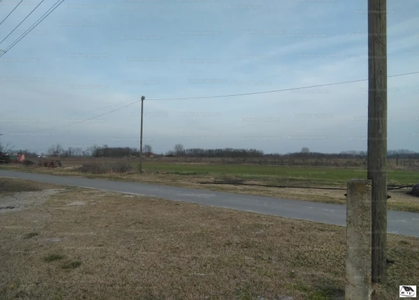 Eladó Telek Jászszentlászló 1209 m2 