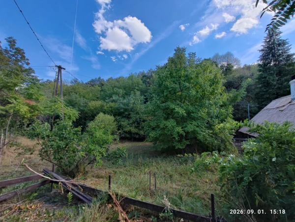 Eladó Telek Cserszegtomaj 2417 m2 