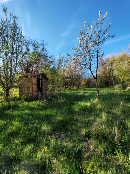 Eladó Telek Cserszegtomaj 2417 m2 
