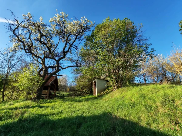 Eladó Telek Cserszegtomaj 2417 m2 