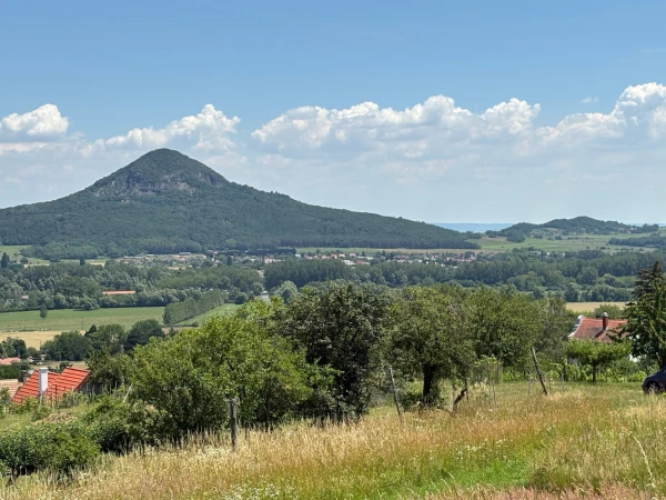 Eladó Telek Kisapáti 3113 m2 