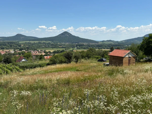 Eladó Telek Kisapáti 3113 m2 