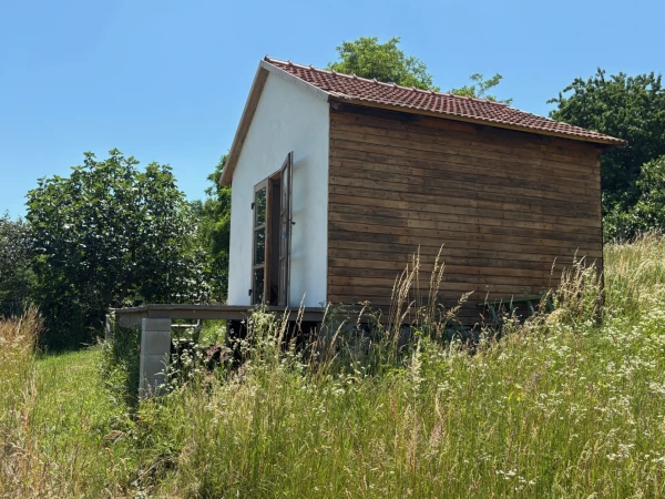 Eladó Telek Kisapáti 3113 m2 