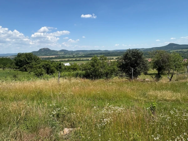 Eladó Telek Kisapáti 3113 m2 