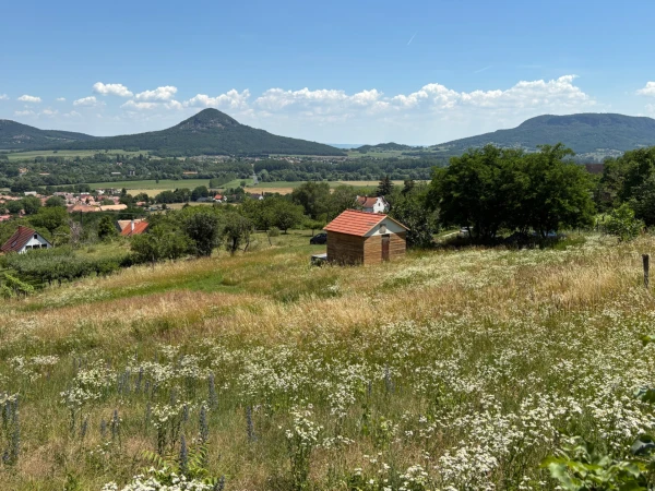Eladó Telek Kisapáti 3113 m2 