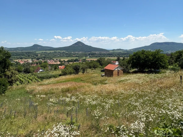 Eladó Telek Kisapáti 3113 m2 