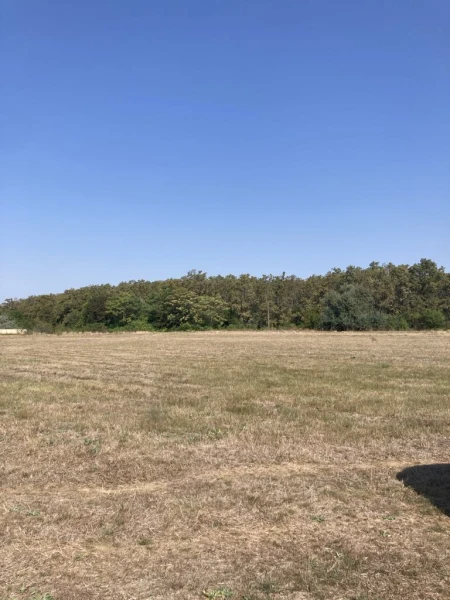 Eladó Telek Szolnok 2000 m2 