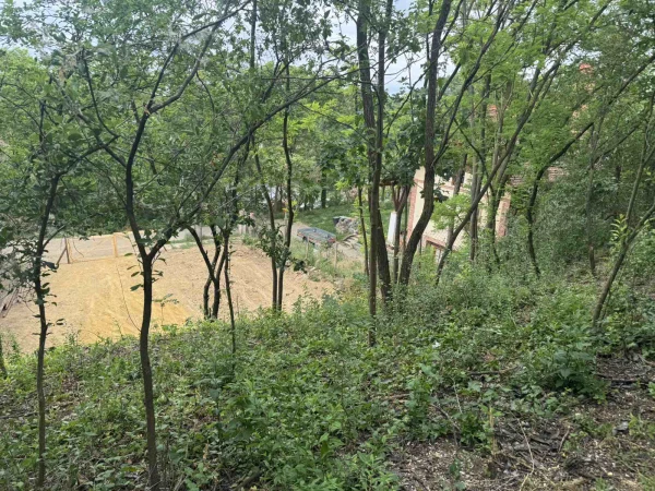 Eladó Telek Aszód 452 m2 