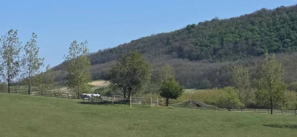 Eladó Ház Szanda 250 m2 