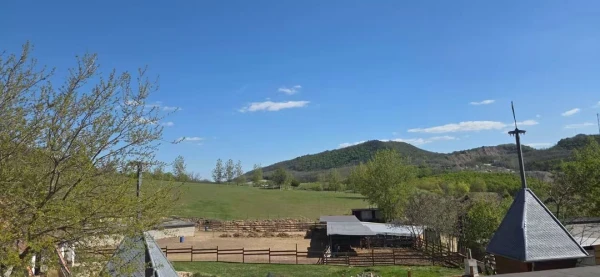 Eladó Ház Szanda 250 m2 