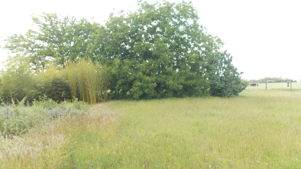 Eladó Telek Kiskunfélegyháza 710 m2 