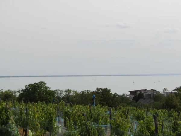 Eladó Telek Badacsonytomaj 1570 m2 