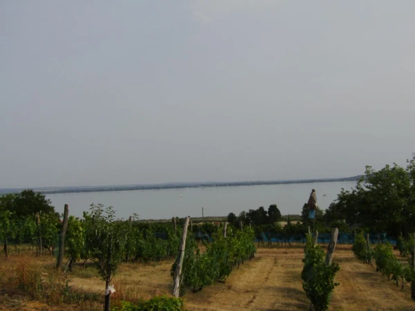 Eladó Telek Badacsonytomaj 1570 m2 