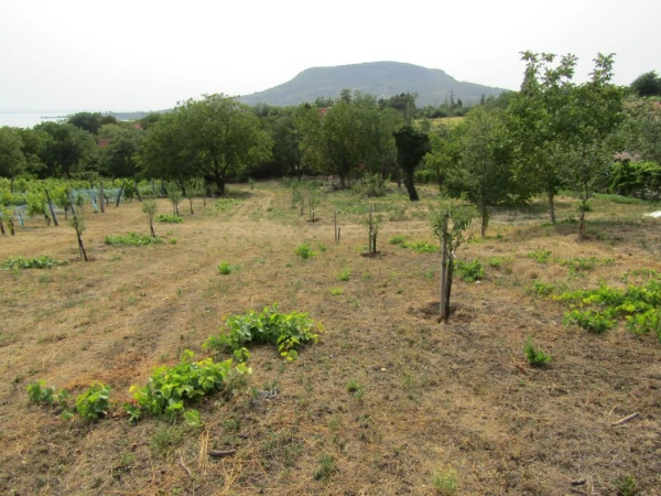 Eladó Telek Badacsonytomaj 1570 m2 