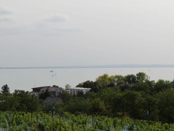 Eladó Telek Badacsonytomaj 1570 m2 