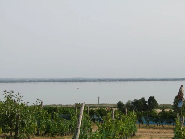 Eladó Telek Badacsonytomaj 1570 m2 