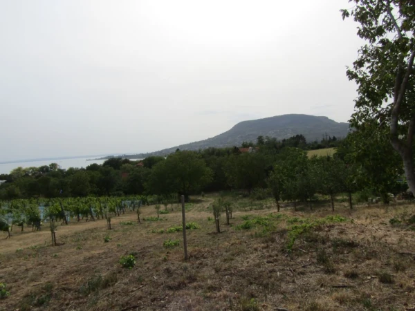 Eladó Telek Badacsonytomaj 1570 m2 